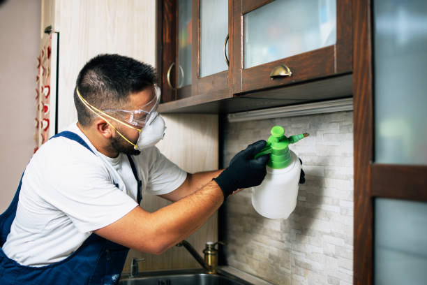 Professional Pest Control in Hialeah Gardens, FL
