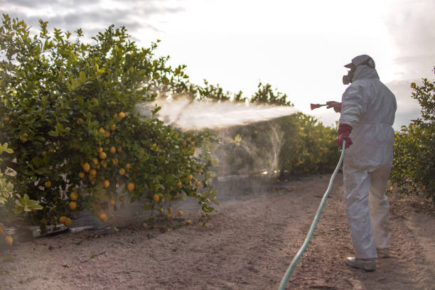 Best Commercial Pest Control Services  in Hialeah Gardens, FL