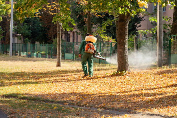 Best Affordable Pest Control Services  in Hialeah Gardens, FL