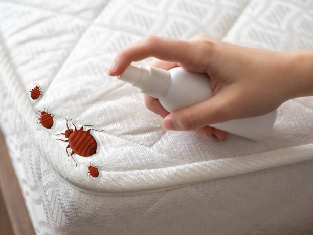 Best Flea Control Services  in Hialeah Gardens, FL